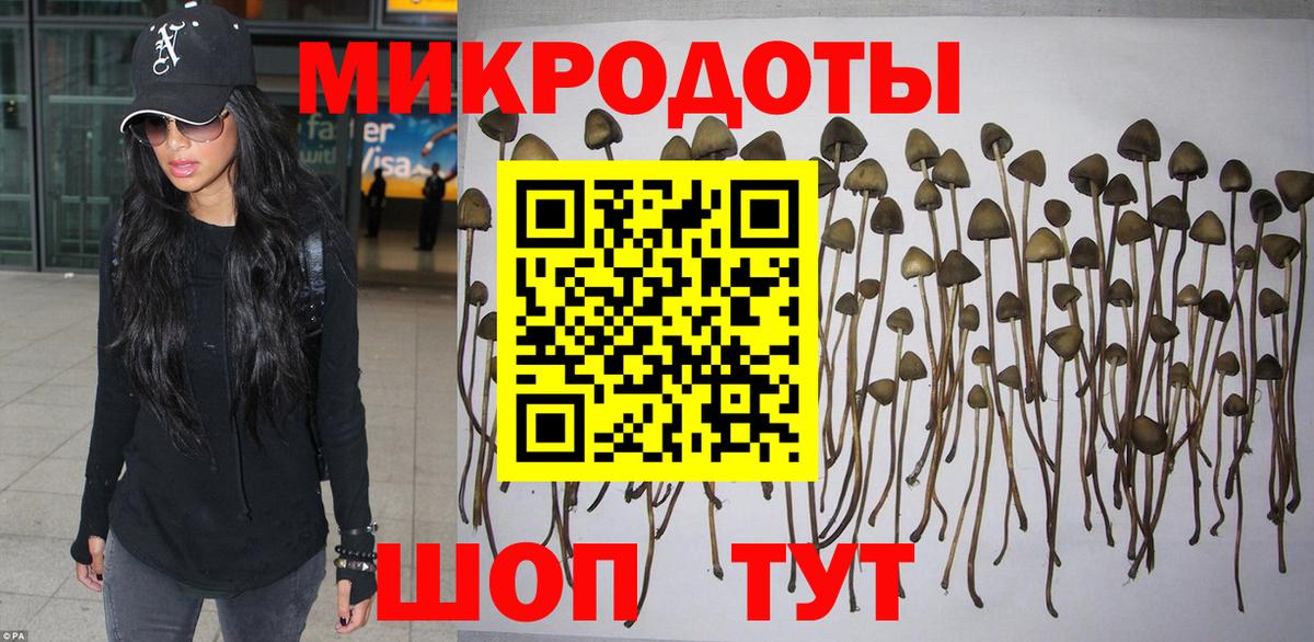 Раменское  Галлюциногенные грибы прущие грибы  Вход с VPN 