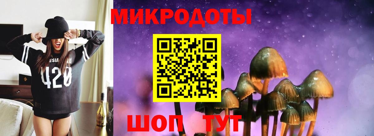Псилоцибиновые грибы MAGIC MUSHROOMS Раменское
