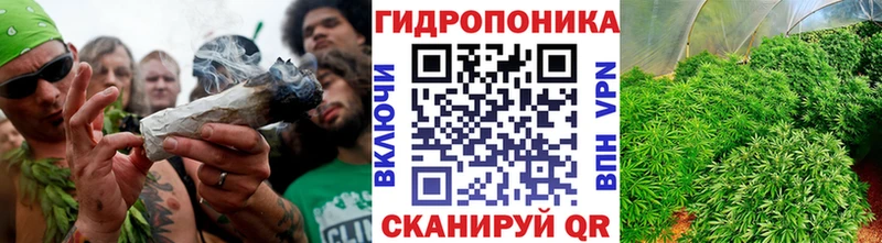 Канабис Bruce Banner  купить   Раменское 